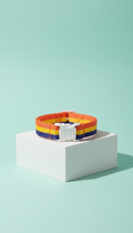 Collare cane nylon colorblock